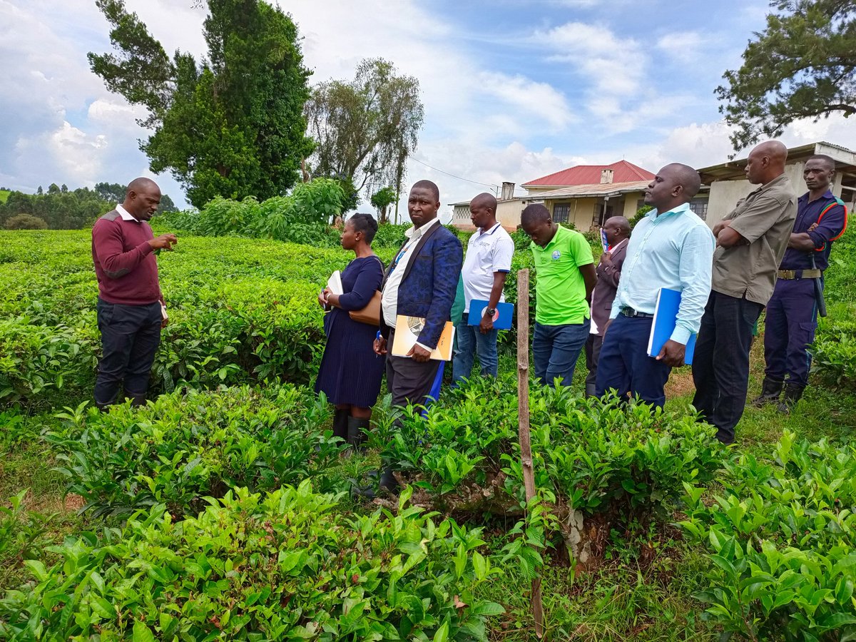 RWEBITABA ZARDI tweet media