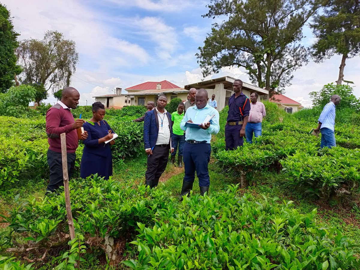 RWEBITABA ZARDI tweet media