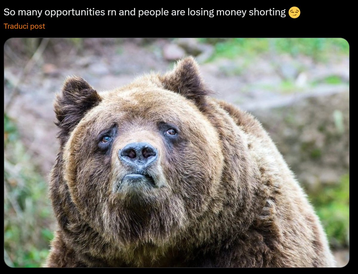 Psychometriks's tweet image. kill the F #Bears 

let the ponzi scheme #hibernate