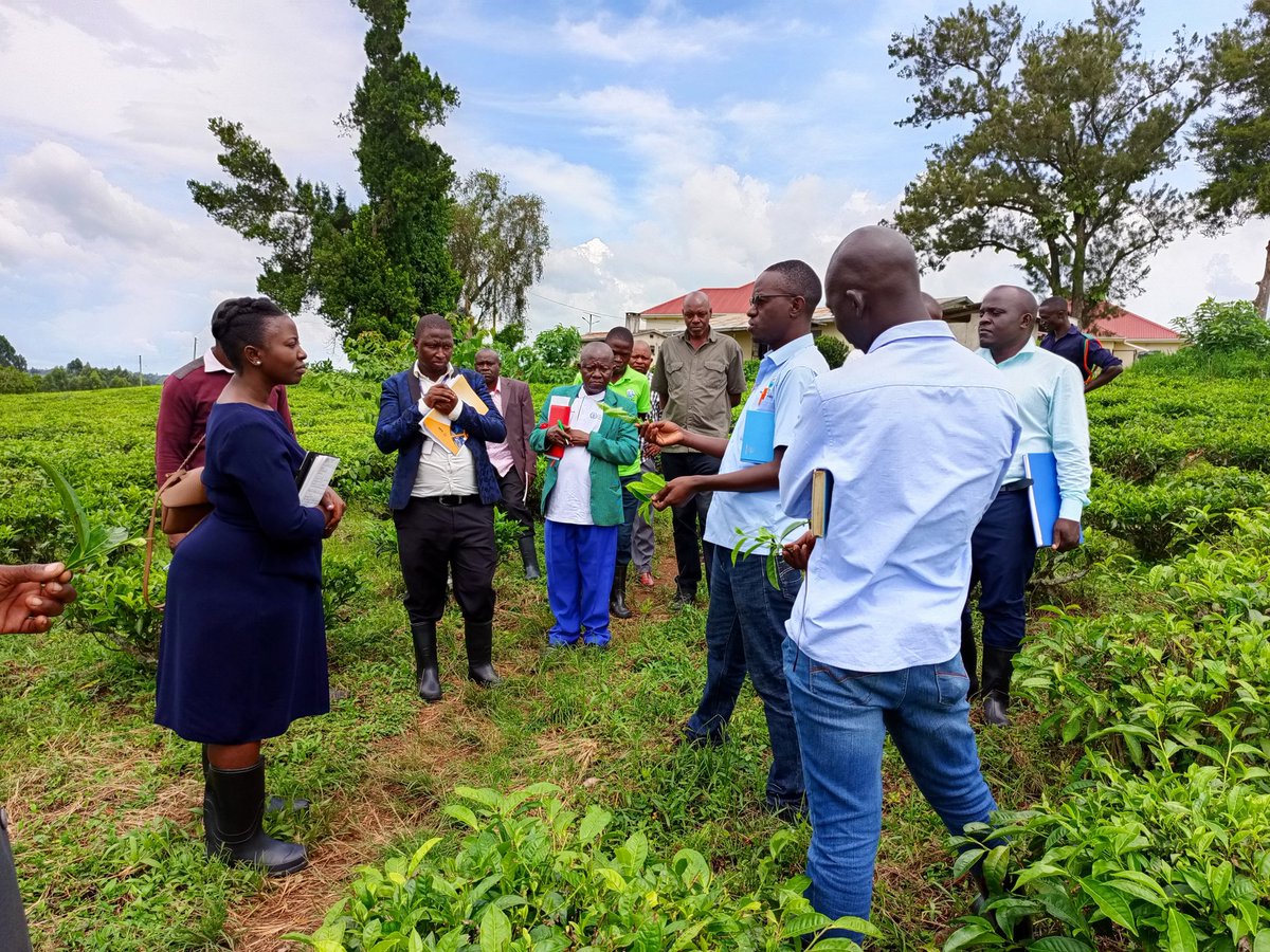 RWEBITABA ZARDI tweet media