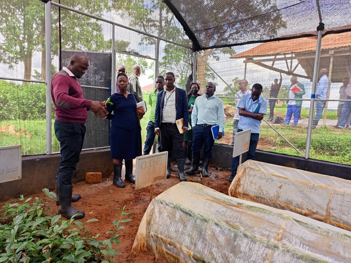 RWEBITABA ZARDI tweet media