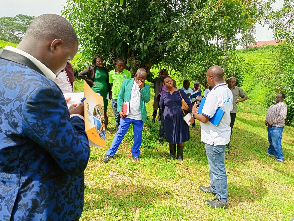 RWEBITABA ZARDI tweet media