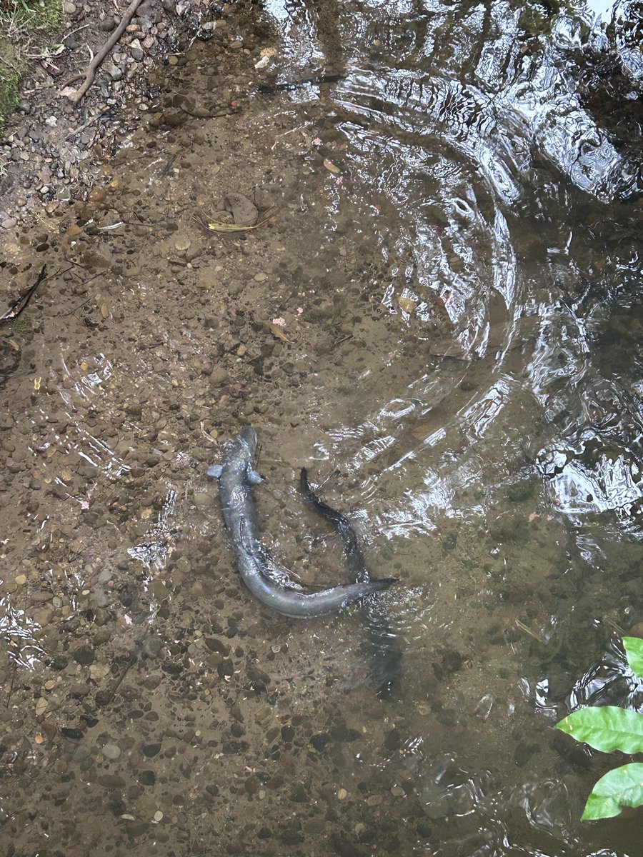 Rachel Jones tweet media