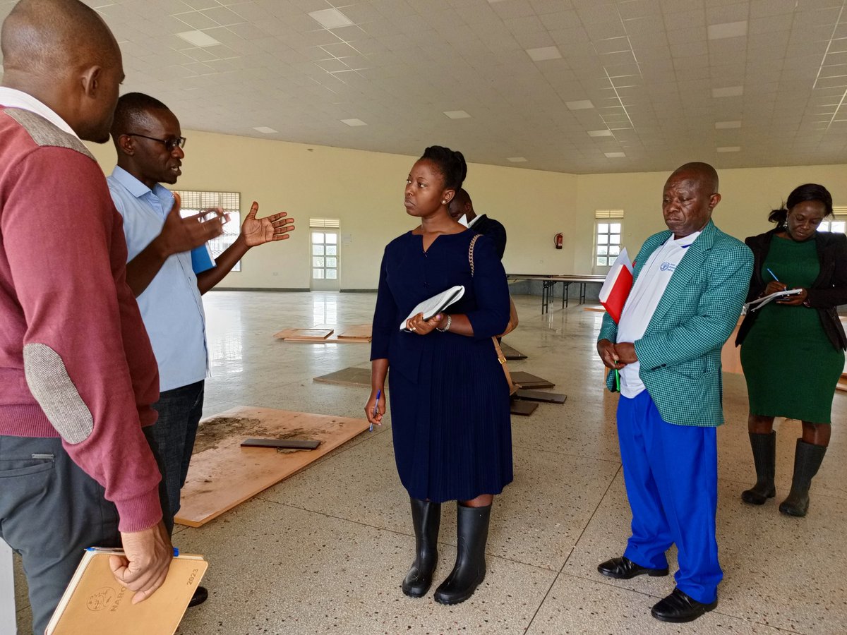 RWEBITABA ZARDI tweet media