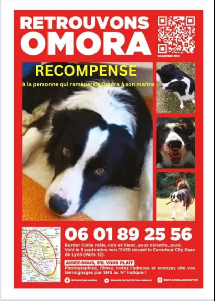 Ecoute51's tweet photo. #rtl s'il vous plait M. @courbet_julien dans votre présentation de #cpva à 9h00 & votre rappel à la #cagnotte pour les animaux, pourriez-vous rappeler, grande audience, l'affaire de #ElijEden et #Omora, merci pour eux ⬇️
si vous l'avez déjà fait, une fois encore 😉
cc @fancpva https://t.co/JCh1rkl3L2