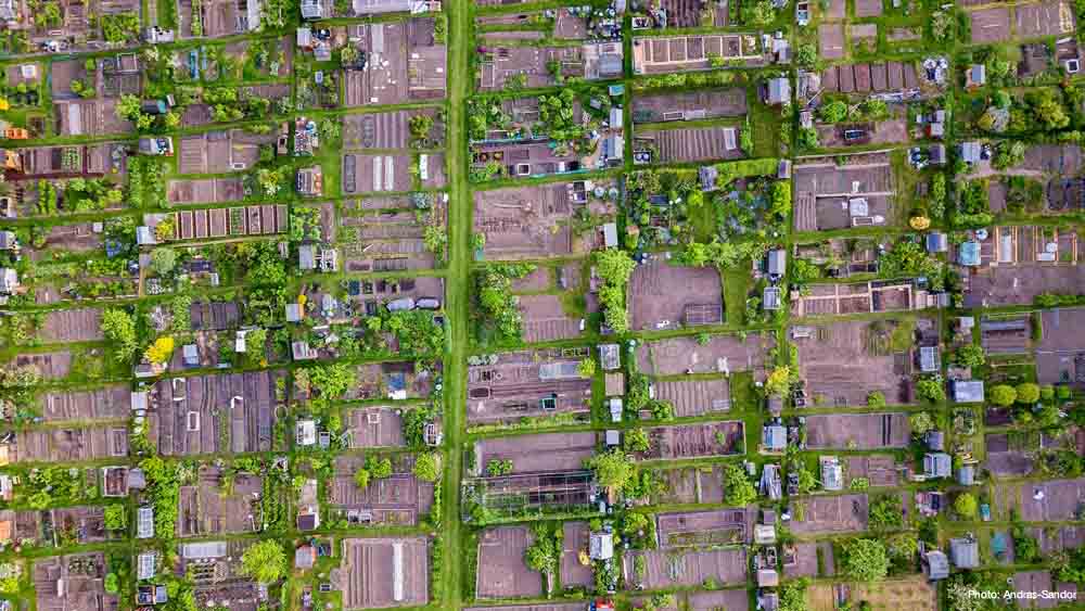 Did you know low rates of urban #biodiversity make cities more vulnerable to the impacts of #ClimateChange? Our Issues Brief explains what can be done. ➡️ bit.ly/3QcH00f