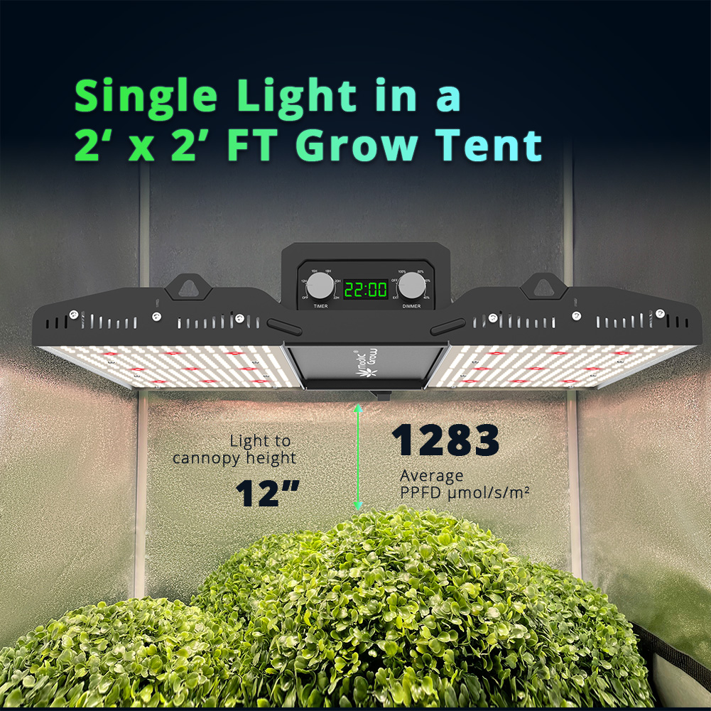medicgrow's tweet photo. #MINISUN-2
🌻Rack / Grow Tent led grow light for hobby growers;
🌻Compact, best for 2’ × 2’, 2.5’ × 2.5’ and 3’ × 3’ etc.;
🌻Built-in Controller with timer and dimmer knob on board;
🌻Easy to Read LCD Display;
#medicgrow #hobbygrower #horticulturelife #indoorgrower https://t.co/XSuvlVYgHf