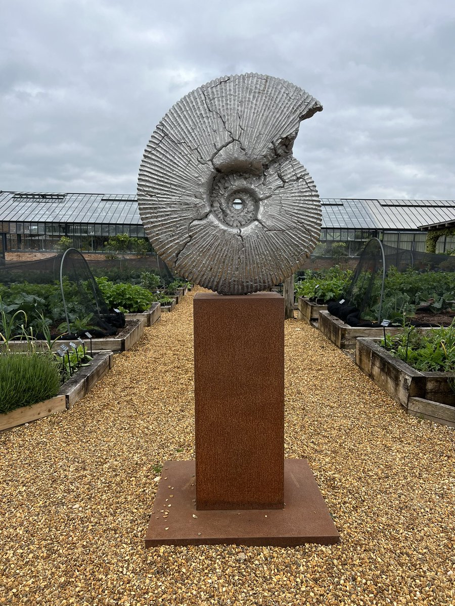 Ammonite Jurassic Cracked 2018

hamishmackie.com/sculptures/amm…

#ammonite #fossil #jurassic #contemporaryart #contemporarysculpture #sculpture #artwork #statue #landscapeart #gardenart #gardensculpture #outdoorart #outdoorsculpture #stainlesssteel  #artcollector #artcommission