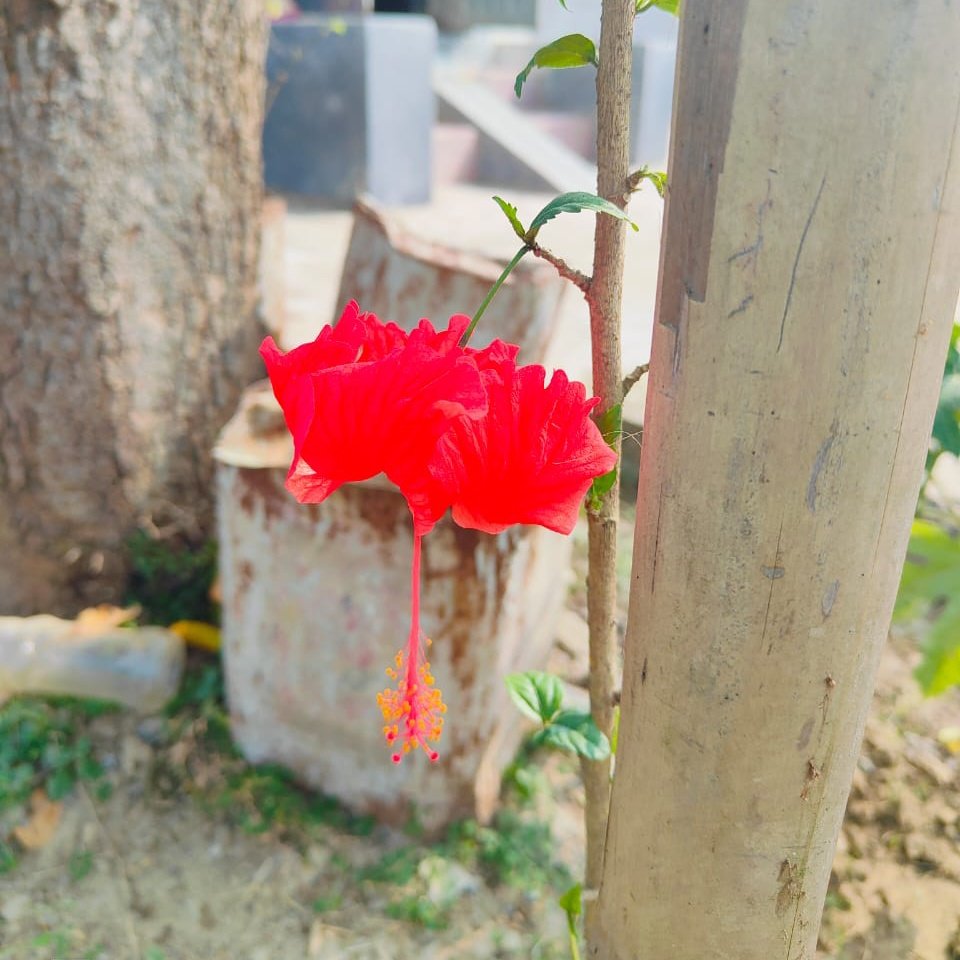 CHANDANAMALLIC4's tweet photo. #NewProfilePic https://t.co/j4jVakYTI7