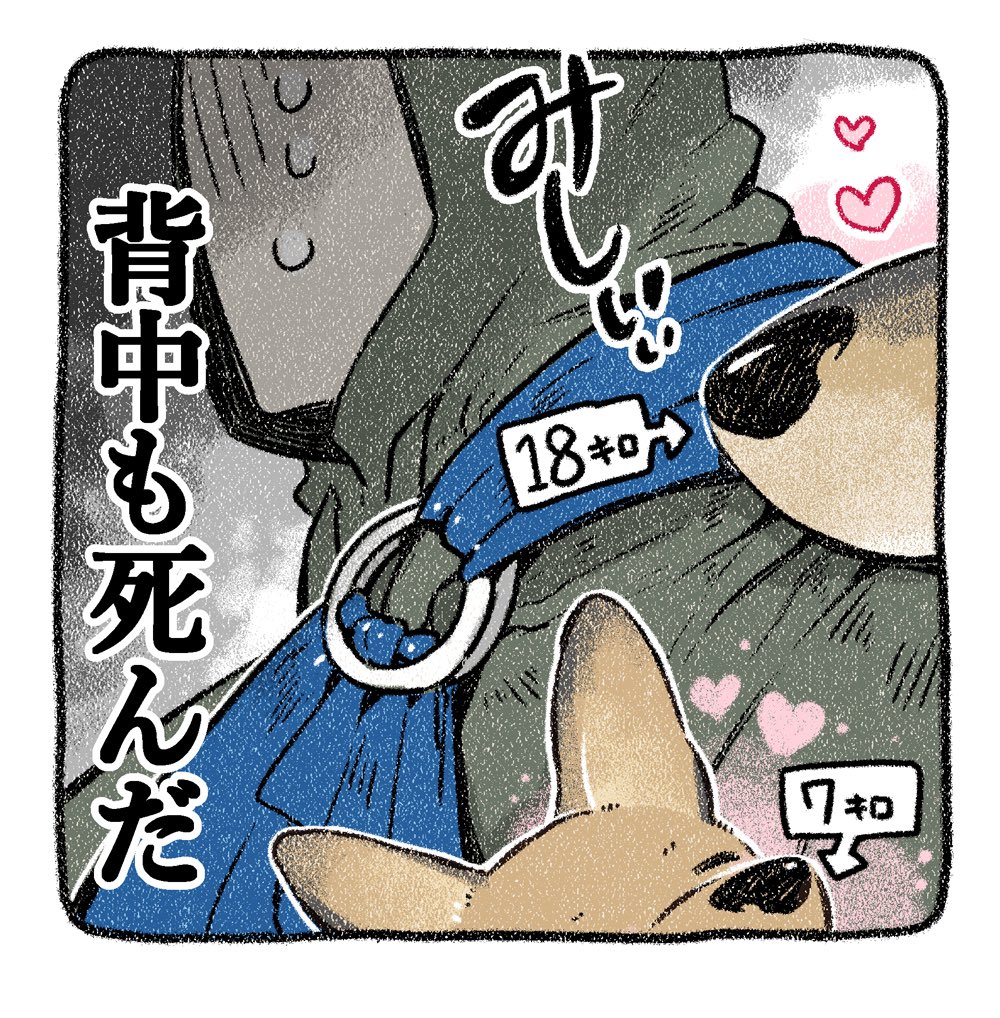 保護犬茶々のお話【第14話】
みしいぃ
#漫画が読めるハッシュタグ 