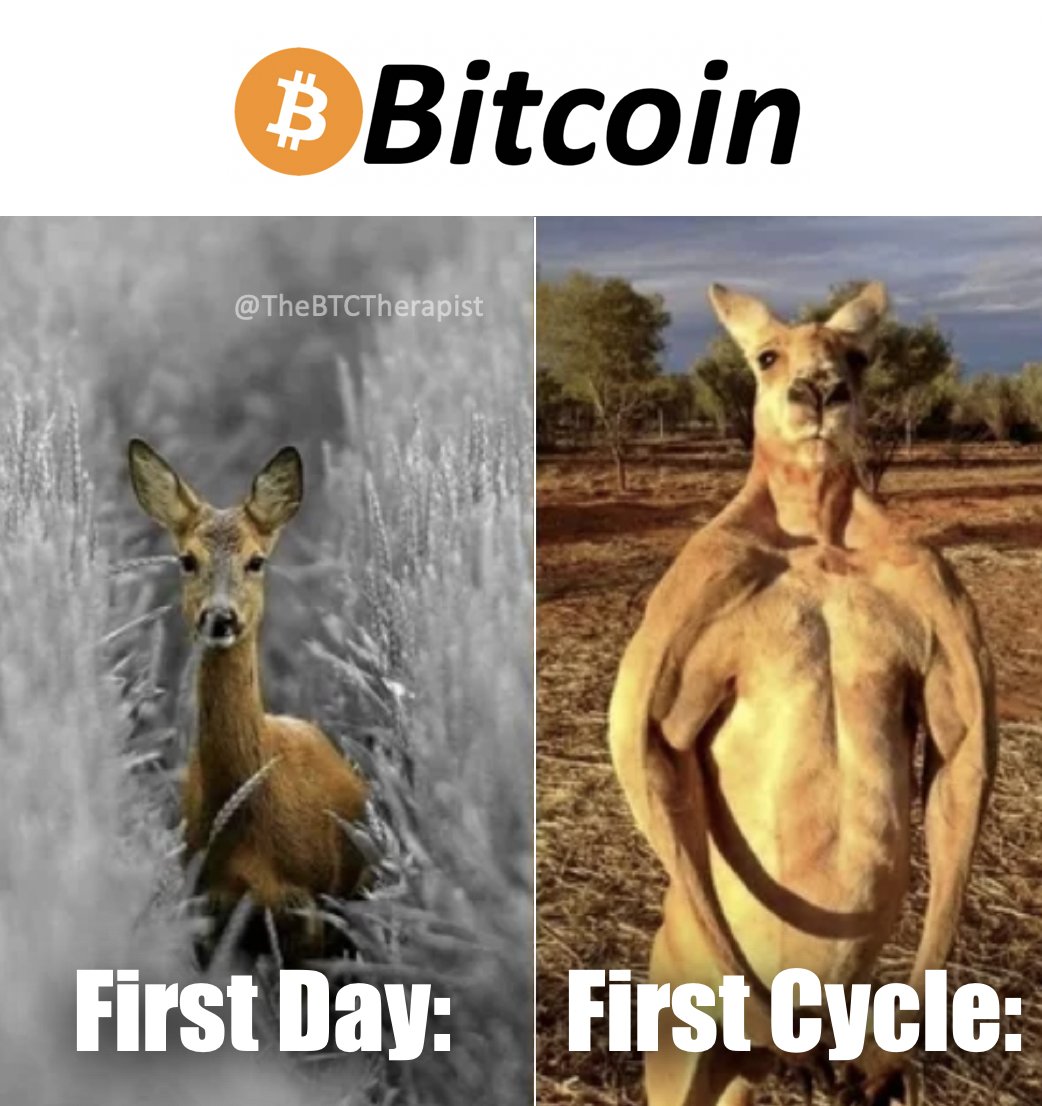TheBTCTherapist's tweet photo. We're never selling. #BTC https://t.co/dpYngryO1Q