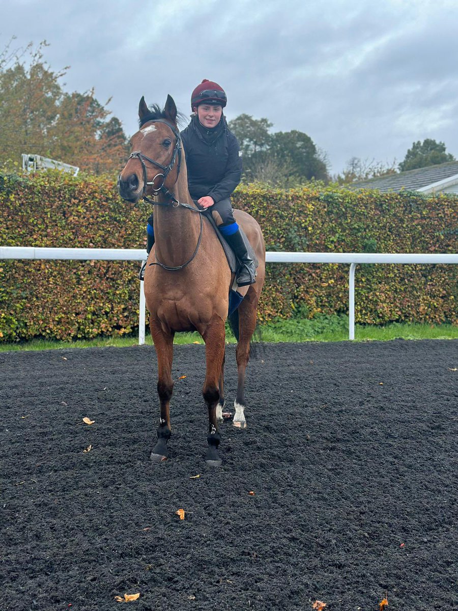 Sir Chauvelin had a nice canter this morning with @_lauren_young ! @jimmyfyffe’s ‘Big Arthur’ runs at this evening’s meeting @kemptonparkrace, David Egan rides!