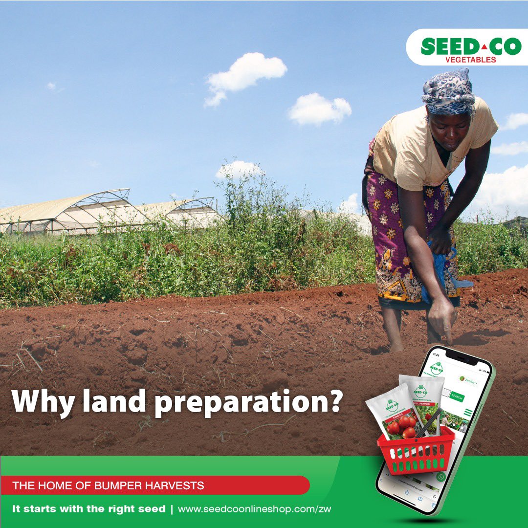 Land preparation is an important step in horticulture because it helps to create a suitable environment for plants to grow and thrive. For more information visit our online shop seedcoonlineshop.com/zw/ 

#ItStartsWithTheRightSeed
#SeedCoVegZim