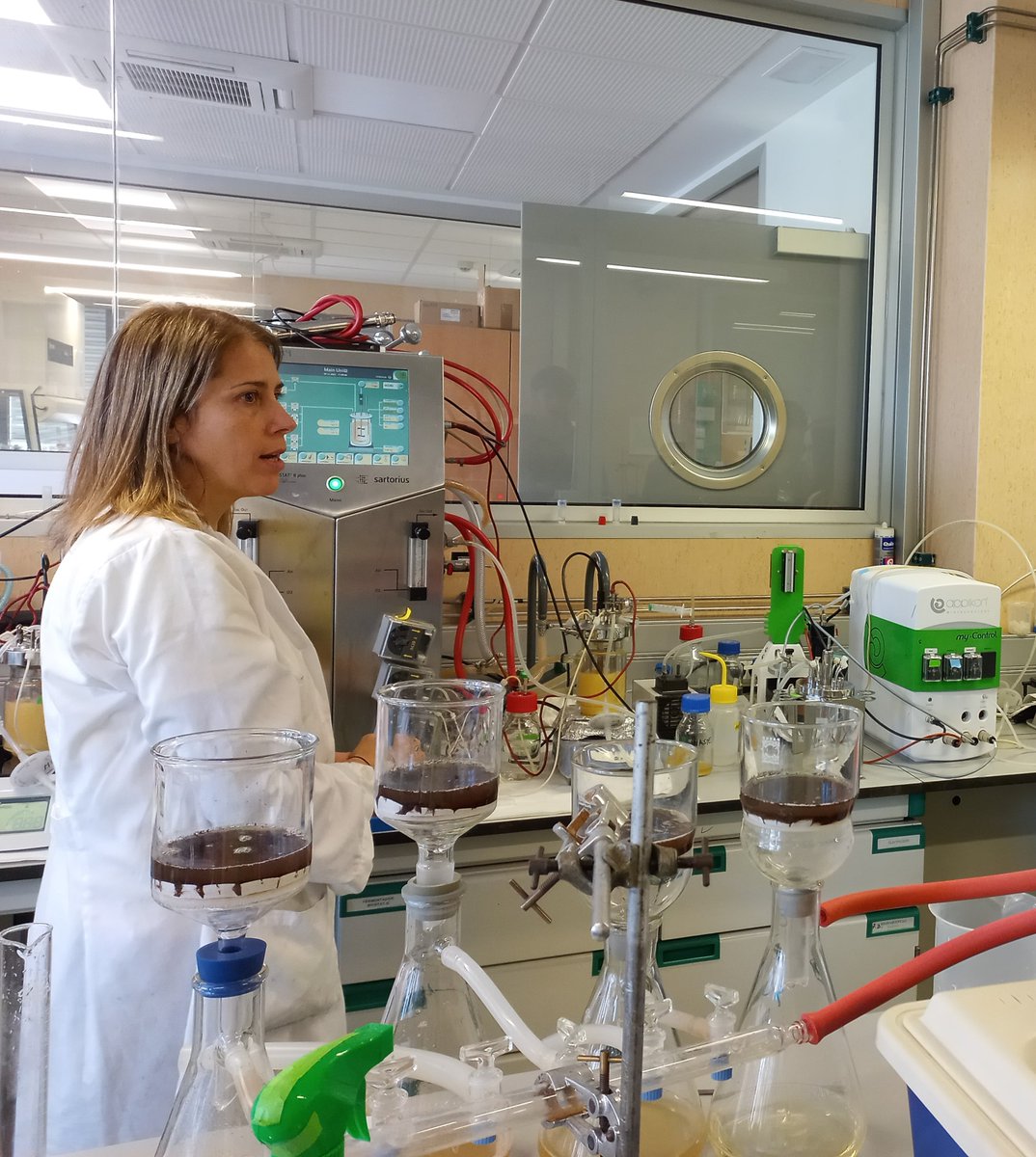 BIOCAR_CIEMAT's tweet photo. 🧪LaboTour ayer en nuestros laboratorios. Aprendimos sobre bioproductos, contamos células y medimos bioetanol. Gracias a todos por vuestra participación! @DivulgaCIEMAT @CIEMAT_OPI @biovineshoot #biomio #carotenos #bioproductos #bioetanol #SemanaDeLaCiencia https://t.co/H1JRyvYtwY