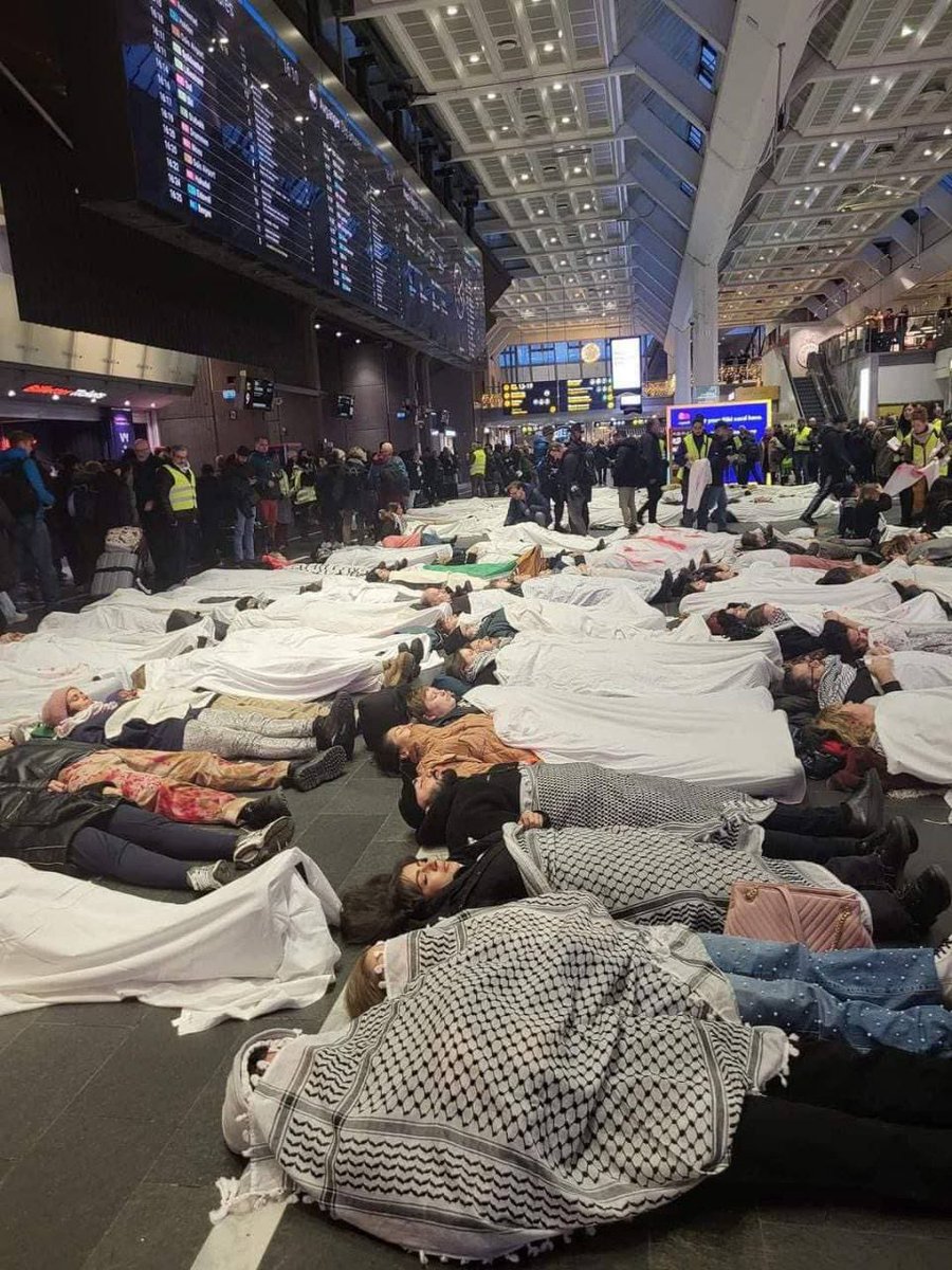 PALESTINE ONLINE 🇵🇸 tweet media