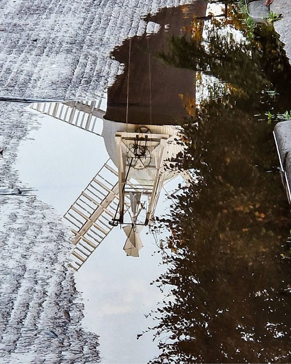 Holgate Windmill tweet media