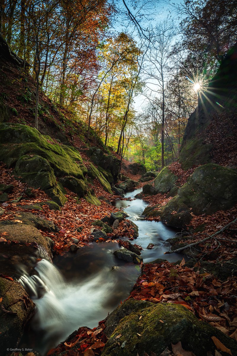 Cooper Branch Fall, Oella, MD.
#patapsco #oella #maryland #nikonz8 #mdinfocus #fallcolors