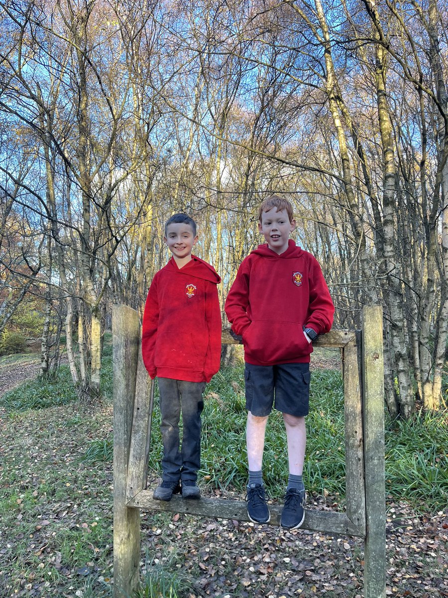 MidCalder_PS's tweet photo. P6/7 went on a senses walk to explore the woods for their description writing. It was great to gather some adjectives to uplevel our texts. #MCPSP67 #Writing #PMWriting #Literacy @wl_literacy https://t.co/hpInfS3RQK