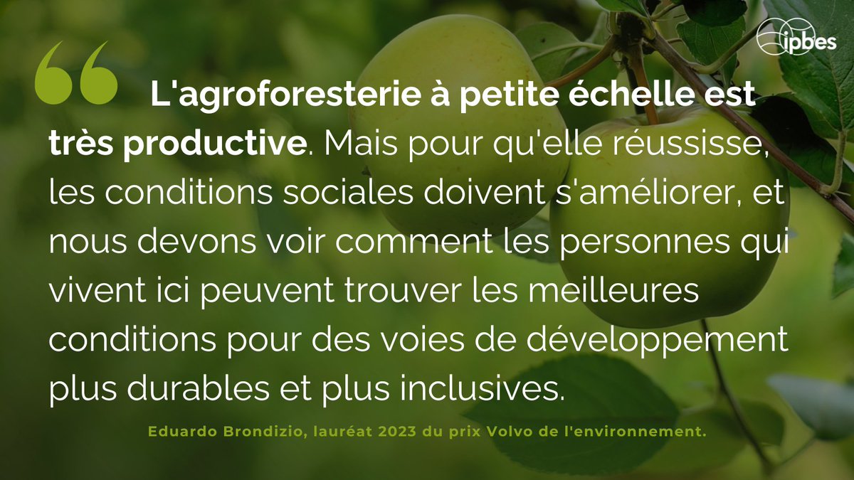 ipbesfr's tweet photo. L'avenir de l'Amazonie dépend d'une utilisation + durable de la forêt. Les bénéfices des cultures doivent profiter aux populations locales, sinon les problèmes vont s'aggraver.🌳
—E. Brondizio, lauréat du #VolvoEnvironmentPrize & coprésident de l'évaluation mondiale de l'@IPBES. https://t.co/pb5kzQ8lKO