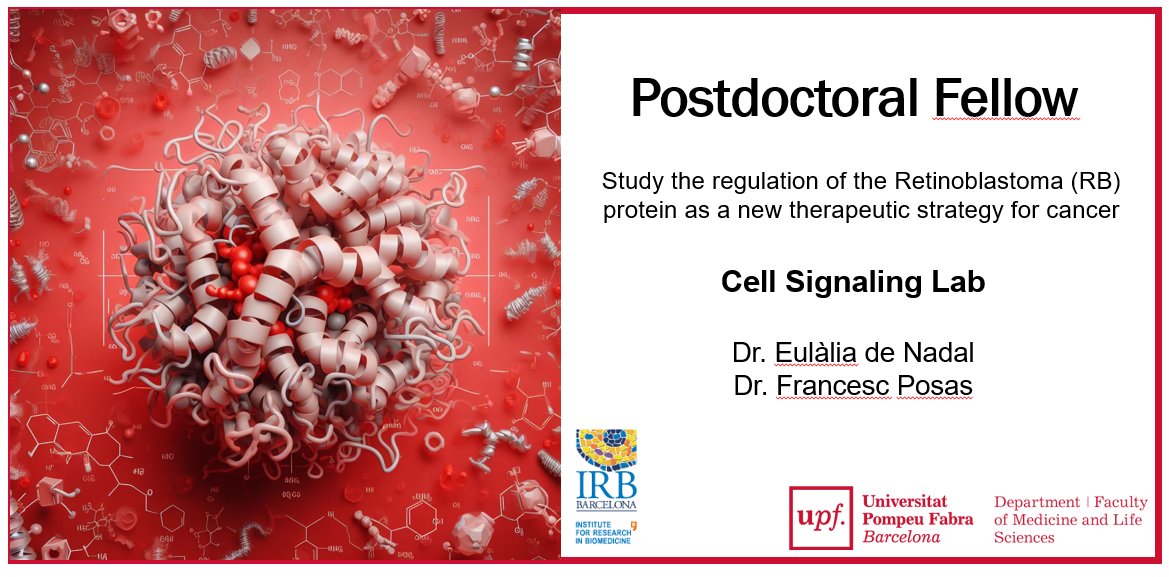 Brand new job offer! 🚨🚨🚨

A postdoc position in our lab to explore how specific modulation of retinoblastoma can override CDK activity. 

Here the link with the specific details: upf.edu/documents/2869…