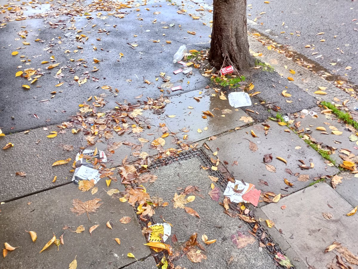 rlbarnard tweet media