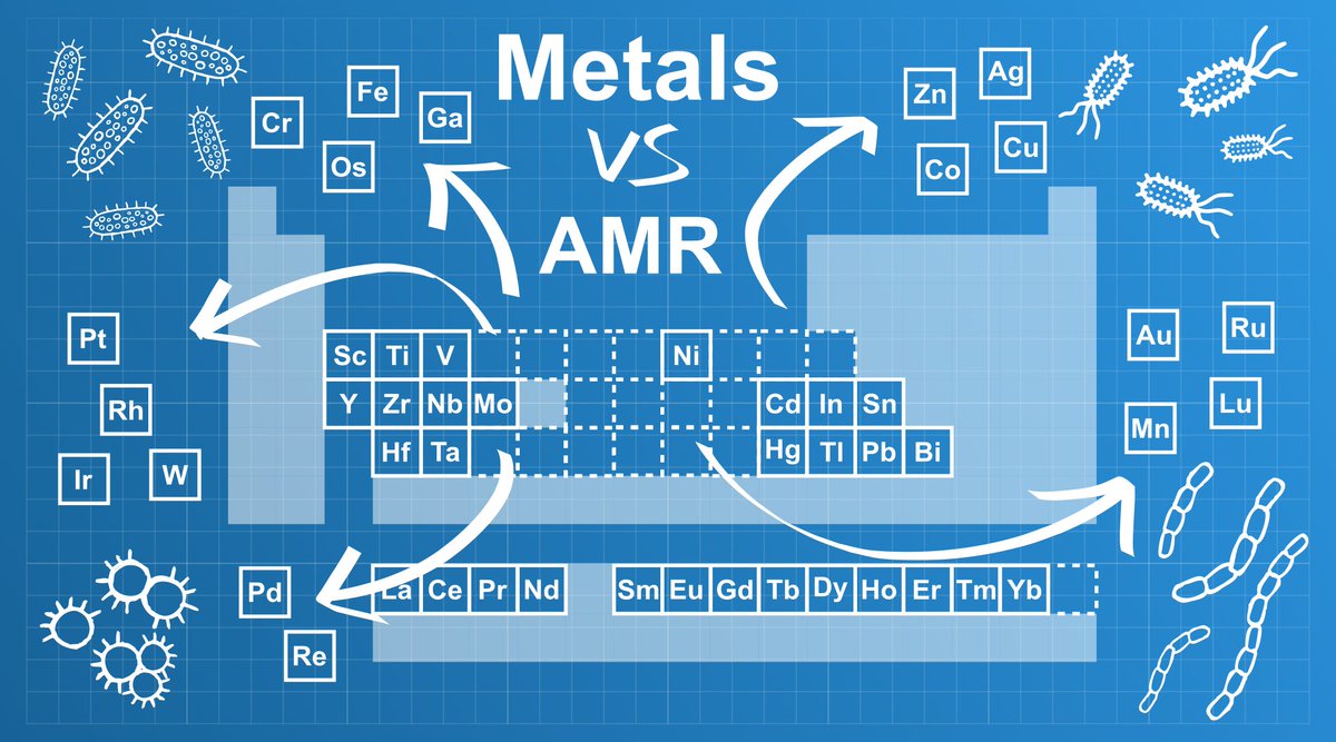 Angelo Frei, PhD (@angelo_frei) on Twitter photo Interested in the discovery, development and understanding of Metalloantibiotics? There is a PhD Opportunity in <a href="/TheFreiLab/">The Frei Lab</a> open now: shorturl.at/myz56. Feel free to message me with questions but apply through the portal! #PhD <a href="/ChemistryatYork/">Chemistry at York</a> Interested in the discovery, development and understanding of Metalloantibiotics? There is a PhD Opportunity in <a href="/TheFreiLab/">The Frei Lab</a> open now: shorturl.at/myz56. Feel free to message me with questions but apply through the portal! #PhD <a href="/ChemistryatYork/">Chemistry at York</a>