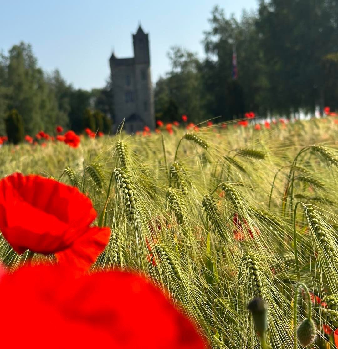 We Will Remember Them