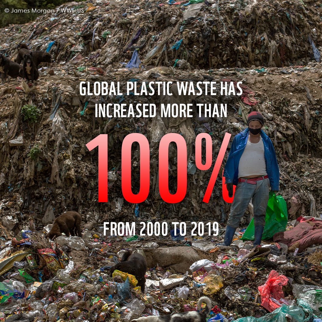 WWF's tweet image. Shocking news: In 20 years, global plastic waste doubled 😧

And who is the most affected? Those who contributed the least. 

Governments, champion a robust #GlobalPlasticsTreaty for people and the planet. 

Help us make it happen: BanIt.org #INC3
