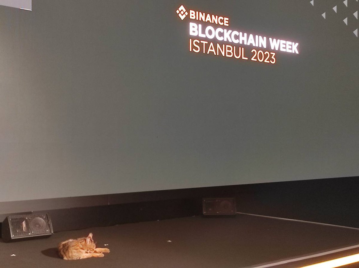 binance's tweet image. Our very important guests of the day have arrived at #BinanceBlockchainWeek.