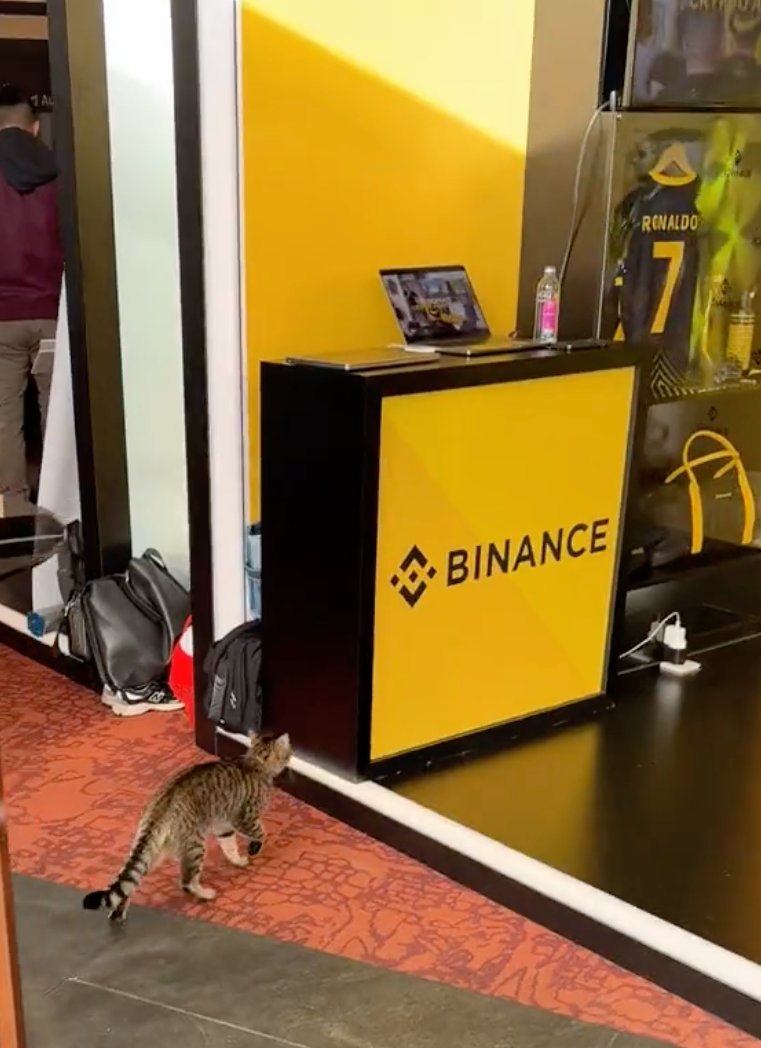 binance's tweet image. Our very important guests of the day have arrived at #BinanceBlockchainWeek.
