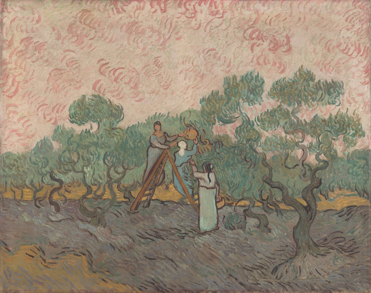 vangoghmuseum's tweet photo. 🌳🌳🌳 For Vincent, these paintings captured the essence of the olive grove. He often made multiple versions of paintings he liked - one for himself, one for his brother to sell, and one for a gift. https://t.co/YbR6ym0xZy