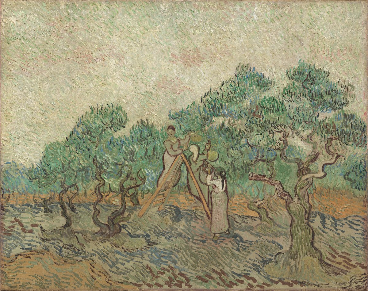 vangoghmuseum's tweet photo. 🌳🌳🌳 For Vincent, these paintings captured the essence of the olive grove. He often made multiple versions of paintings he liked - one for himself, one for his brother to sell, and one for a gift. https://t.co/YbR6ym0xZy