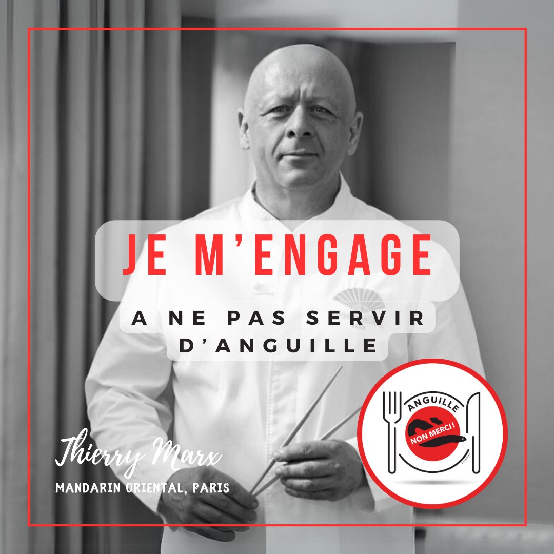 ESPÈCE EN DANGER CRITIQUE D'EXTINCTION
#thierrymarx @MO_PARIS 
#AnguilleNonMerci #chefengagé #biodiversité #anguille #cuisineresponsable #préservonslesressources
@GrandOcean @ORoellinger