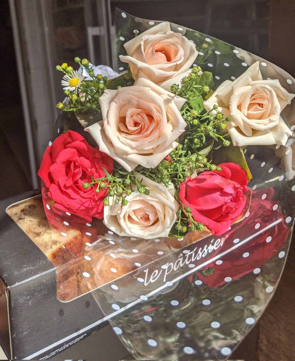 Le pétale🌹 tweet media