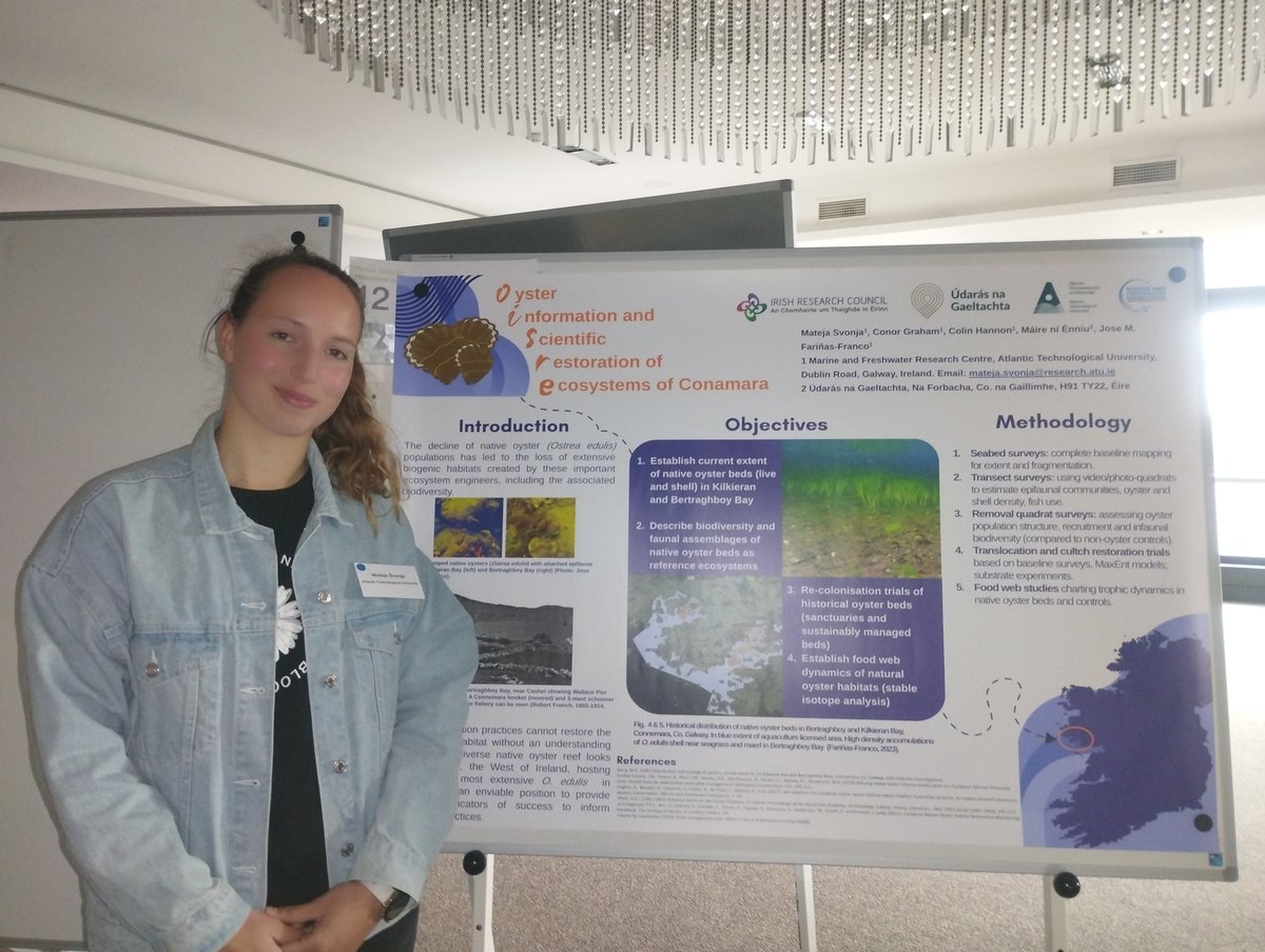 Chuffed to be in Middelburg 🇳🇱 for the #NORA5 restoration conference. Introducing the Oisre 🦪 Conamara Project to the NORA community. Mateja Svonja's important PhD work at ATU @IrishResearch @UdarasnaG funded, adding to oyster habitat conservation in Ireland. #loveIrishResearch