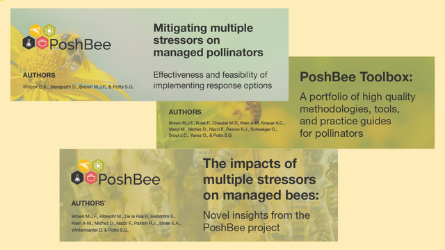 🔙In July, PoshBee launched its policy brief collection

🆕Now, the final PoshBee policy brief is here exploring the impacts of multiple stressors on managed bees

Read all the policy briefs👇
1⃣doi.org/10.3897/arphap…
2⃣doi.org/10.3897/arphap…
3⃣doi.org/10.3897/arphap…