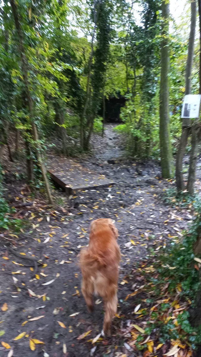 Beautiful new footbridge over the culvert, to go under the bypass from the nature park. Helping to improve a circular walk between Sandford lock and Iffley lock, along both sides of the river. 
Thanks, Tom &amp; Trevor for pushing on this.
