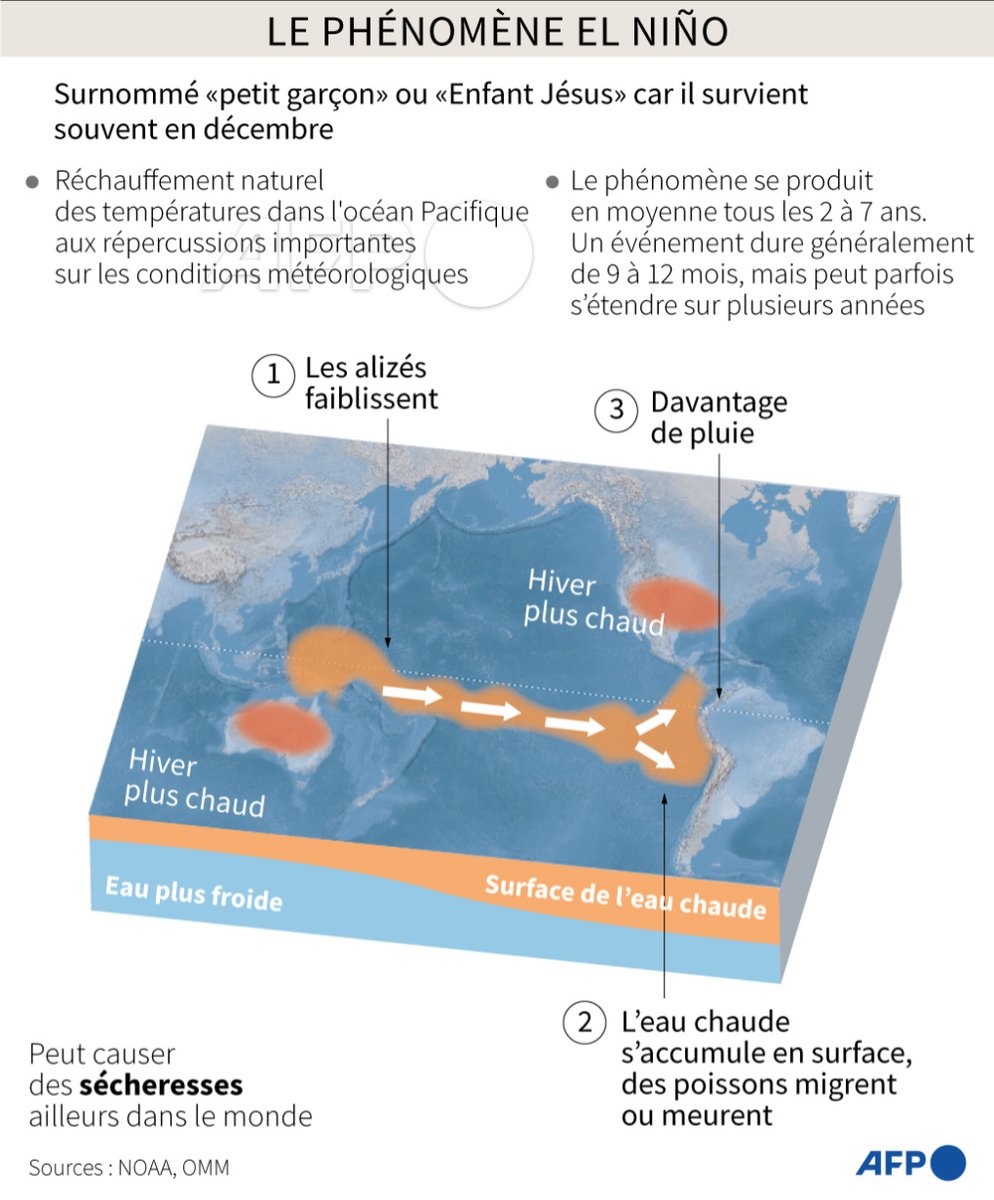 Agence France-Presse tweet media