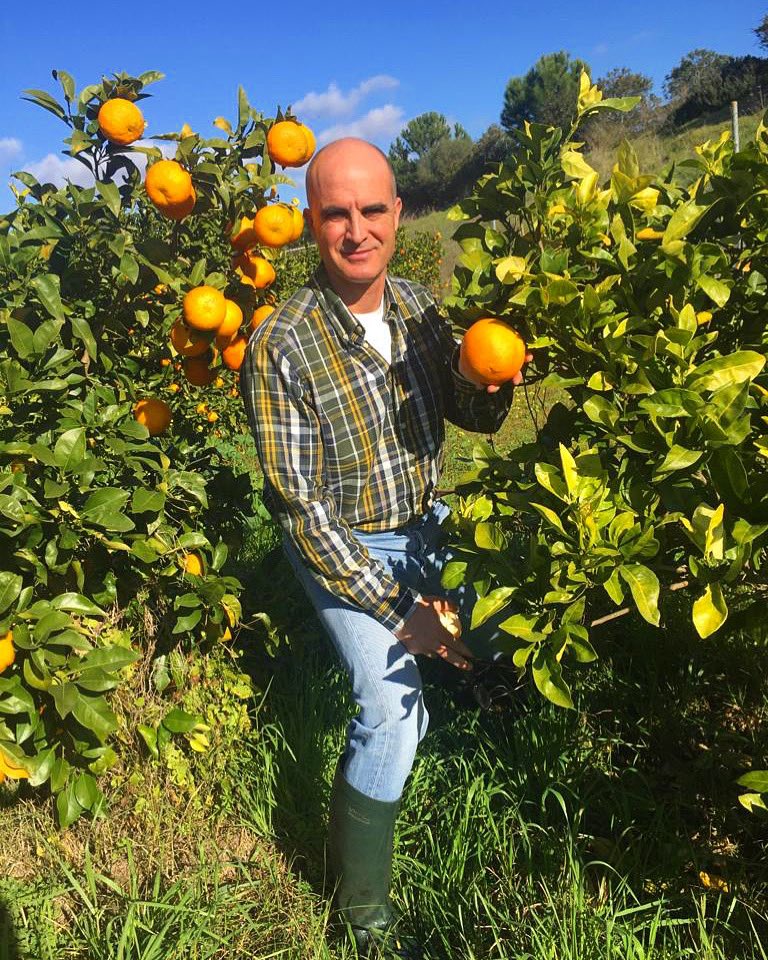Paradise #GospaCitrus in Seville.
Episode #34 LANE LATE ORANGE.
It is a late variety (harvesting from January to May). With low acidity, very sweet taste and seedless, it is used both for table &amp; juice (high juice content). It is extraordinary!
♥️VISITS👉info@gospacitrus.com