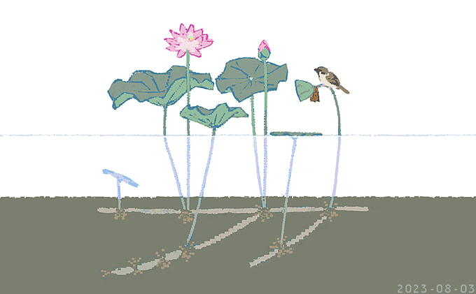 「leaf lotus」 illustration images(Latest)