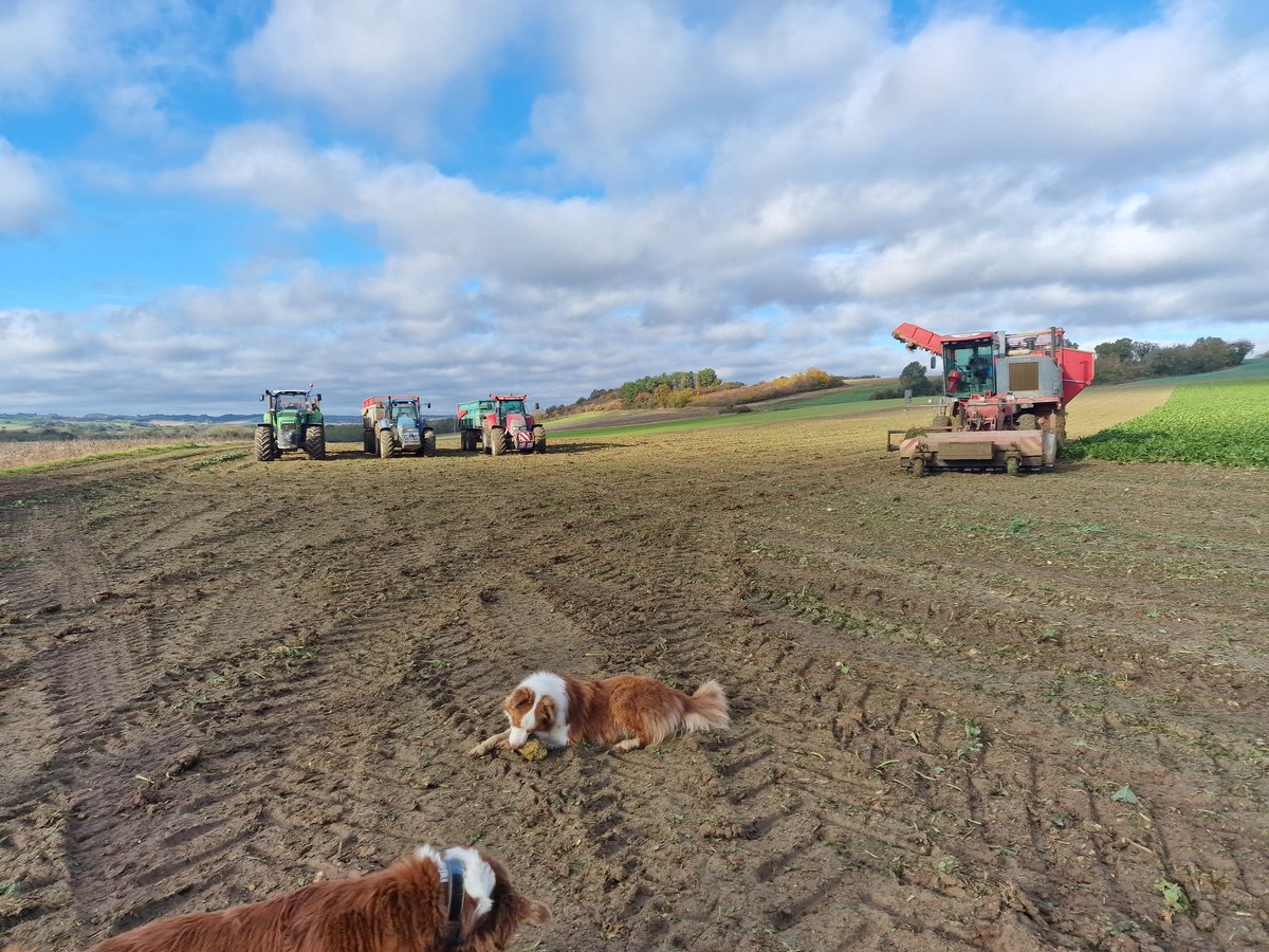 Équipe de chocs ce matin  <a href="/HarryRainon/">Harry RAINON</a> <a href="/KarlBernard13/">Karl Brnd</a>