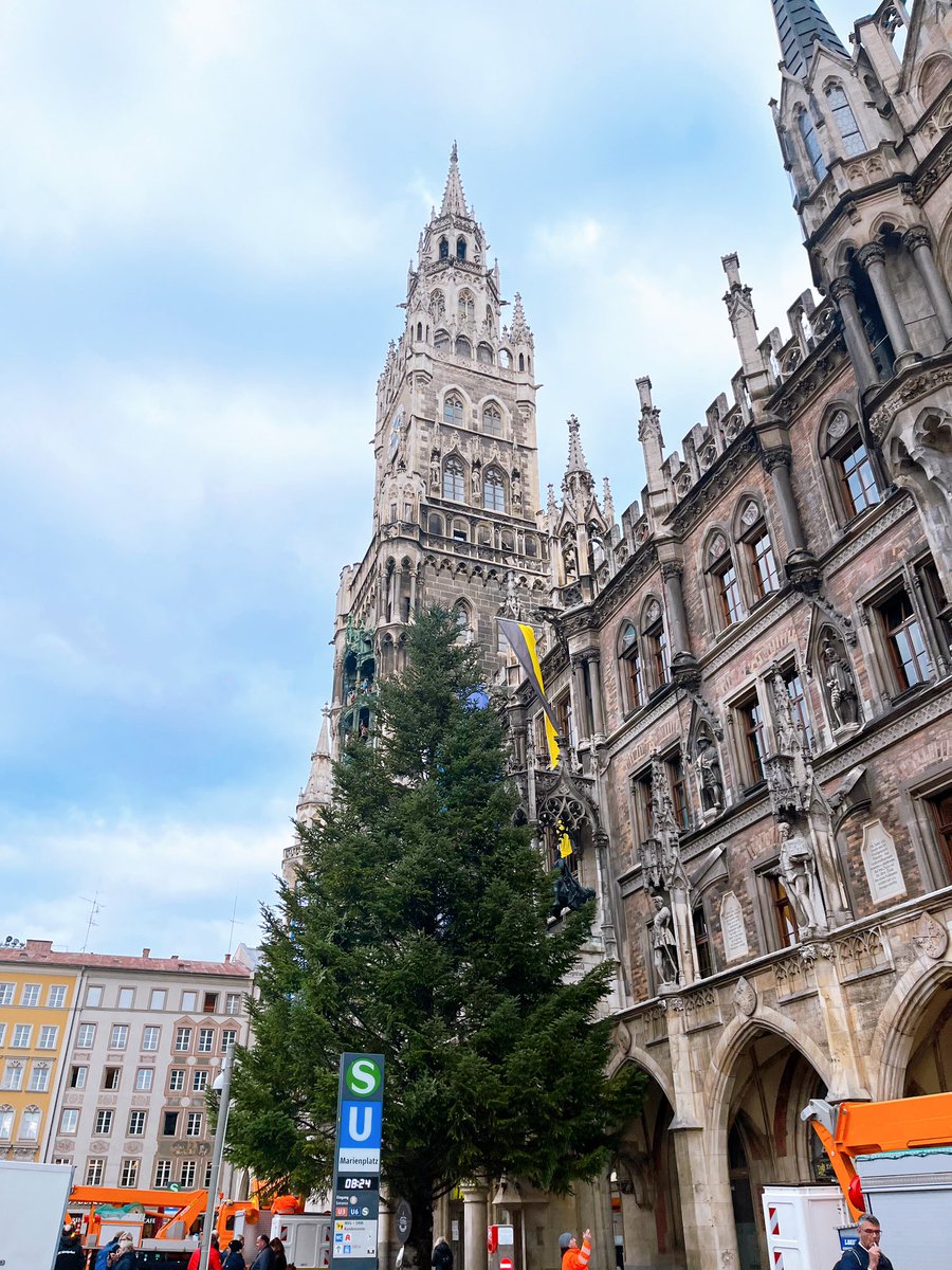 HankyuEurope's tweet photo. 今朝 #ミュンヘン🇩🇪 の市庁舎前に今年のクリスマスツリー🌲が設置されました！今年のクリスマスマーケットは11/27からはじまります🎅🎄✨
#ドイツ🇩🇪 #阪急ゆーろ https://t.co/TJinc0BwXl