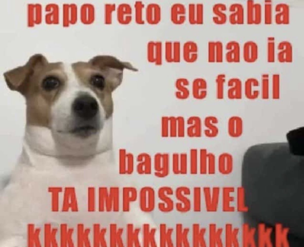 Maurício tweet media