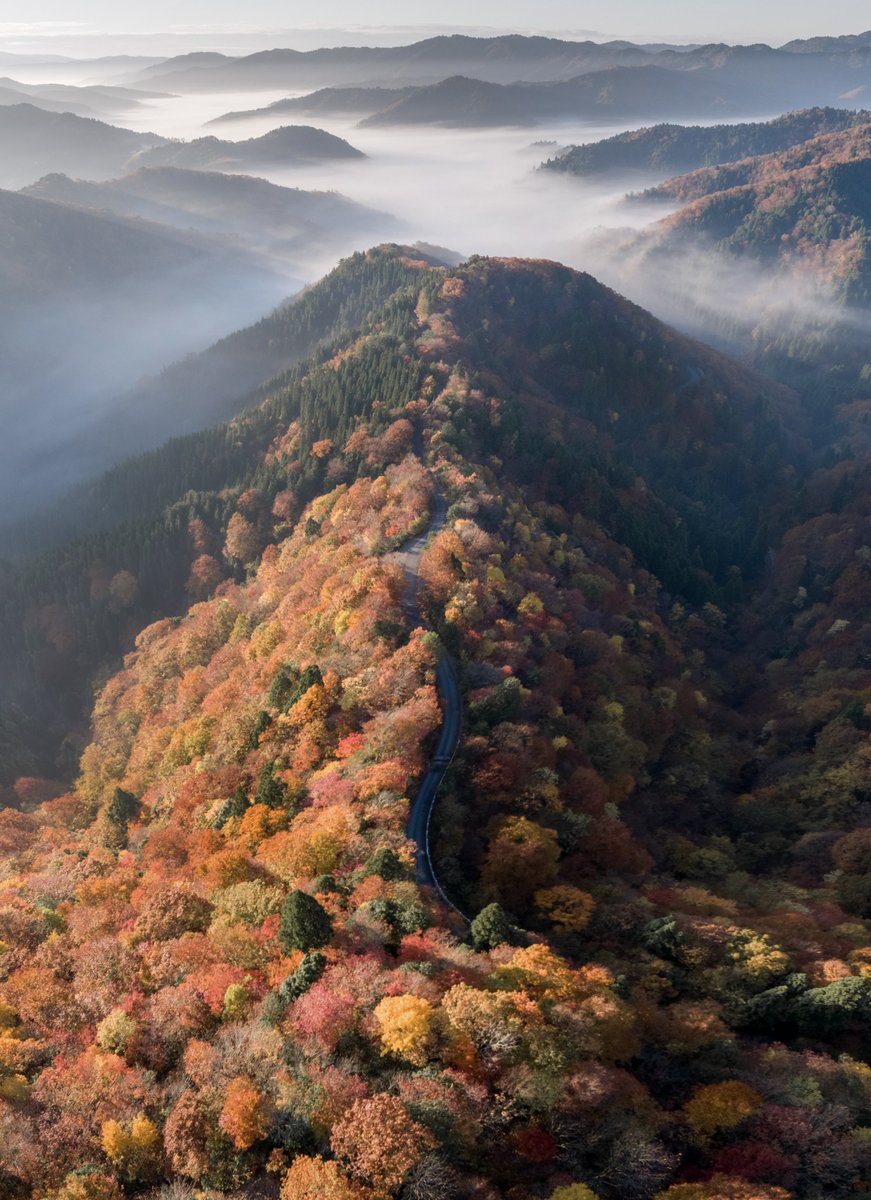 marutsubame3's tweet image. 空から撮影した滋賀の紅葉が最高に美しい