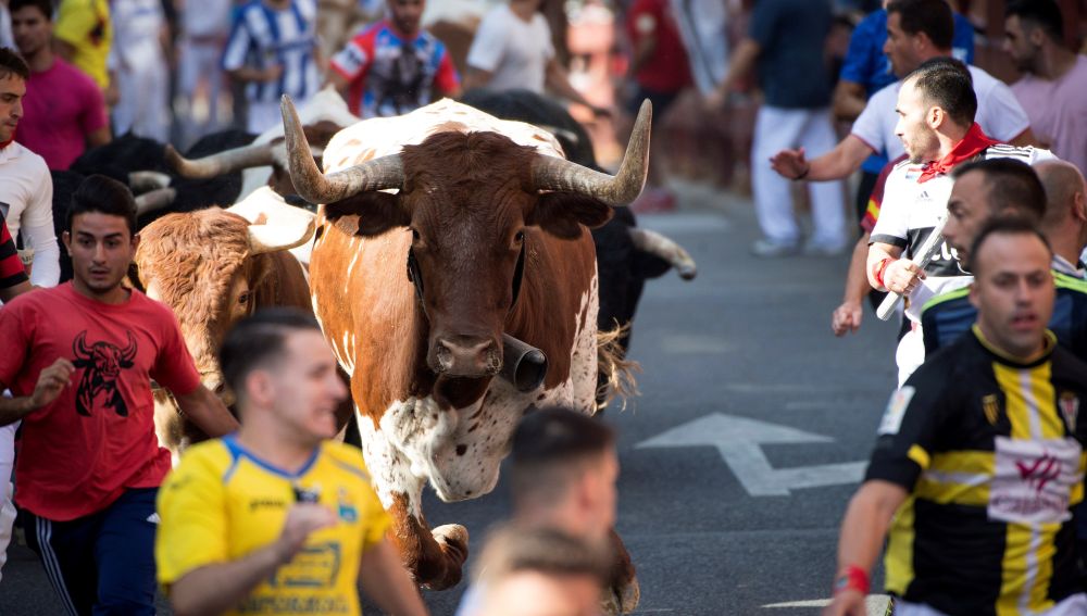 diariodesanse's tweet photo. 🔴⚪️La Federación de Peñas Taurinas de Sanse apoya totalmente los encierros en honor a San Sebastián Mártir

➡️En un comunicado ha demostrado su compromiso con la iniciativa tomada por el gobierno local

https://t.co/aPIT19kA9M https://t.co/ghqLY29tCb