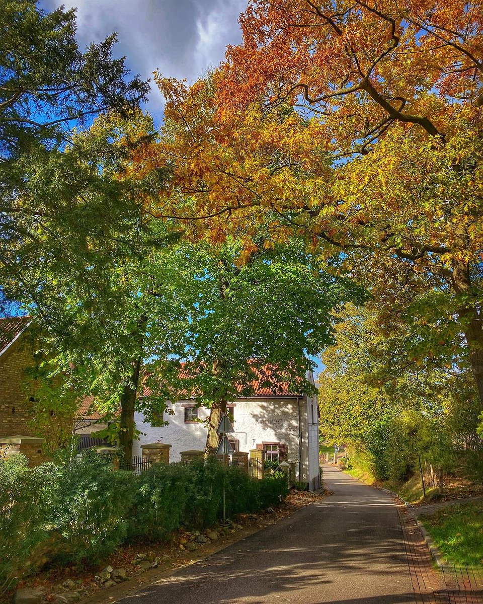 Schinnen #MagnifiekZL
📸: sannavandekapelhof - Instagram