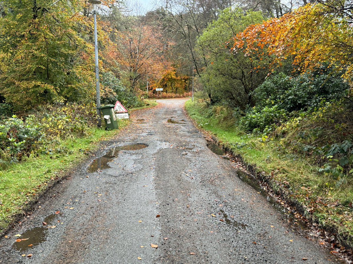 Autumn really best highlights our disgusting, cratered roads. 🥰