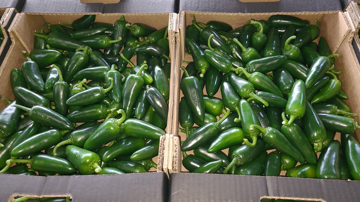 Need to put a touch of Green✅🟢 in your life today! Green Chillies &amp; Green Jalapeno now with us🚚! Place your order📞🗒️ and try them! 😋