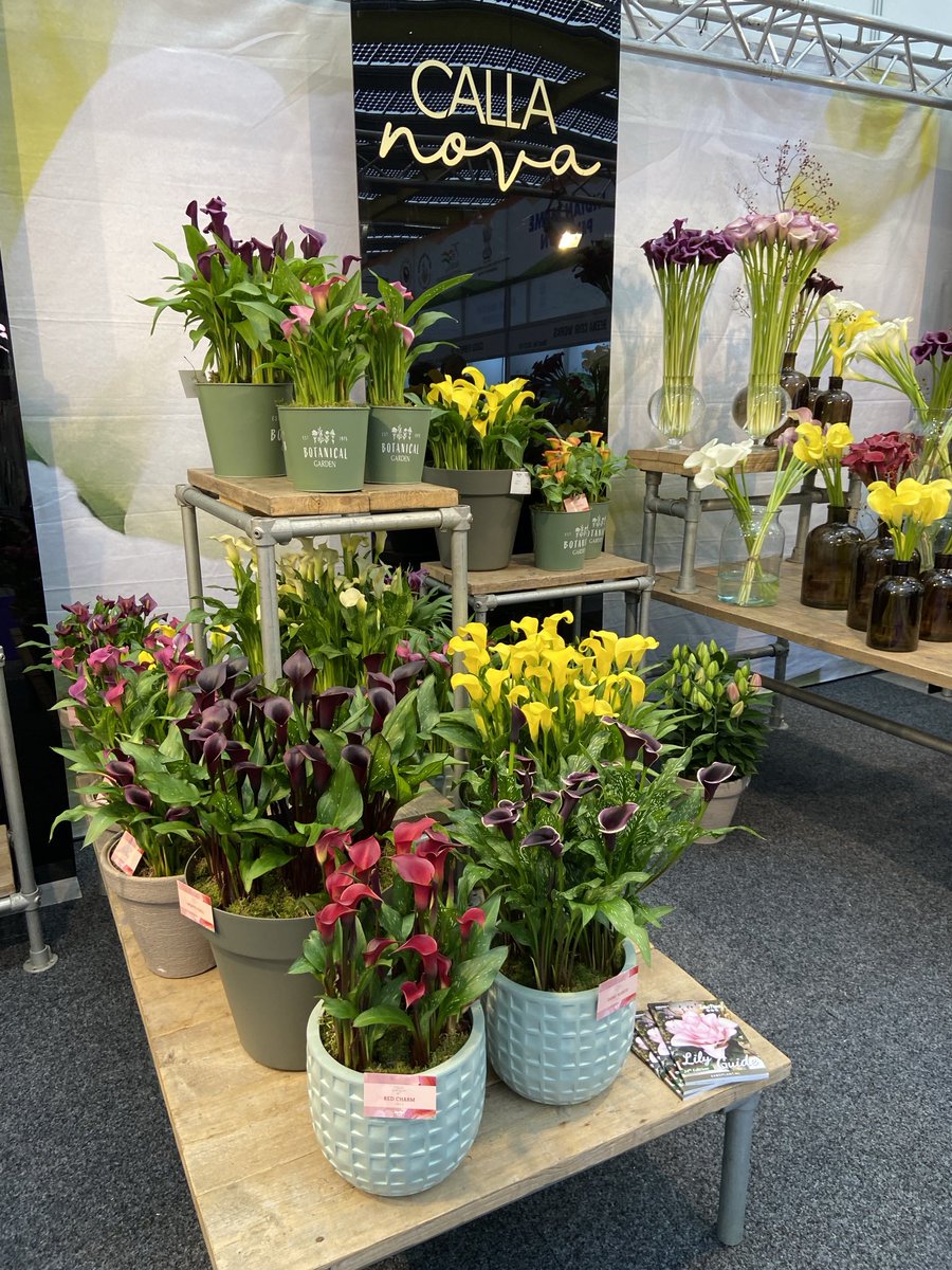 Vandaag op de iftf in vijfhuizen. Het begin is goed