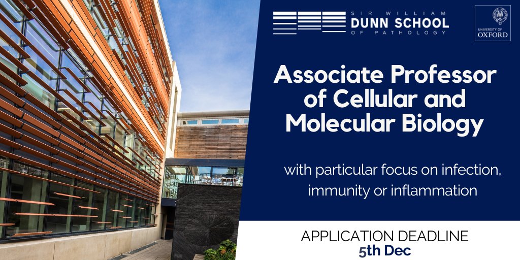We just can't stop recruiting!

This time an Associate Prof in cell/mol biology with focus on infection, immunology, inflammation

If you have exciting research plans and value a great working environment, you know what do to...

path.ox.ac.uk/vacancy/associ…